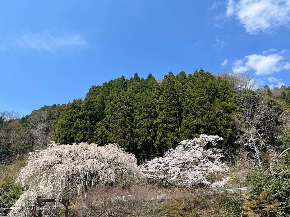 画像399